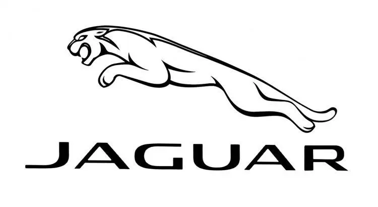 JAGUAR-TOPDON.webp