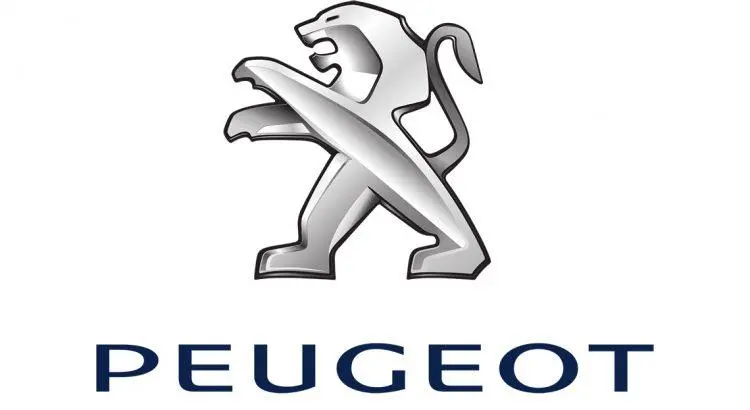 PEUGEOT-TOPDON.webp